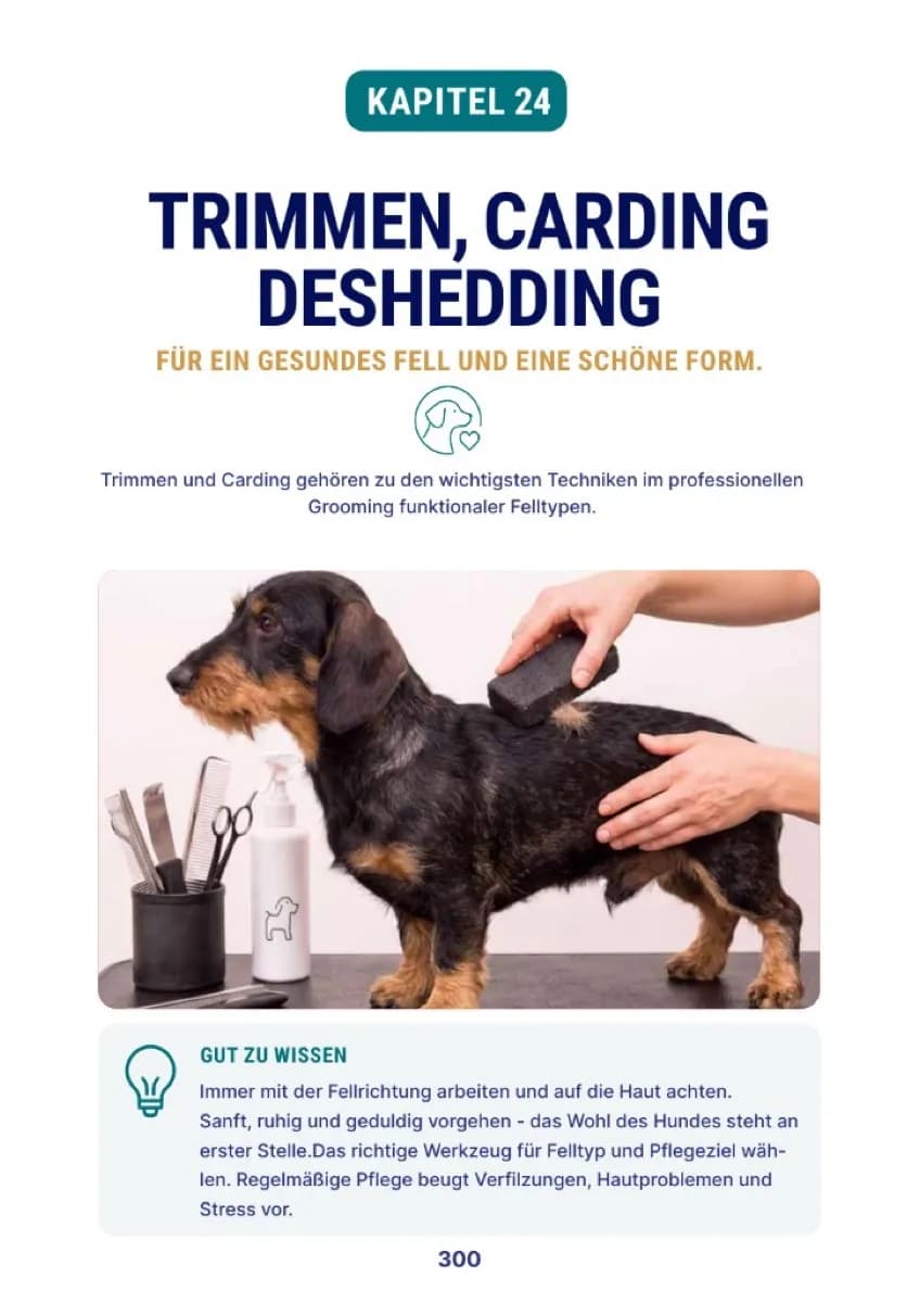 Buchseite 300 – Trimmen, Carding und Deshedding