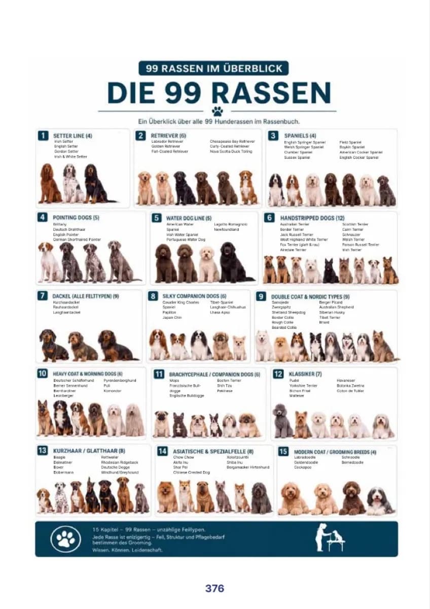Buchseite 376 – Die 99 Rassen im Überblick, Übergang zu Band 2